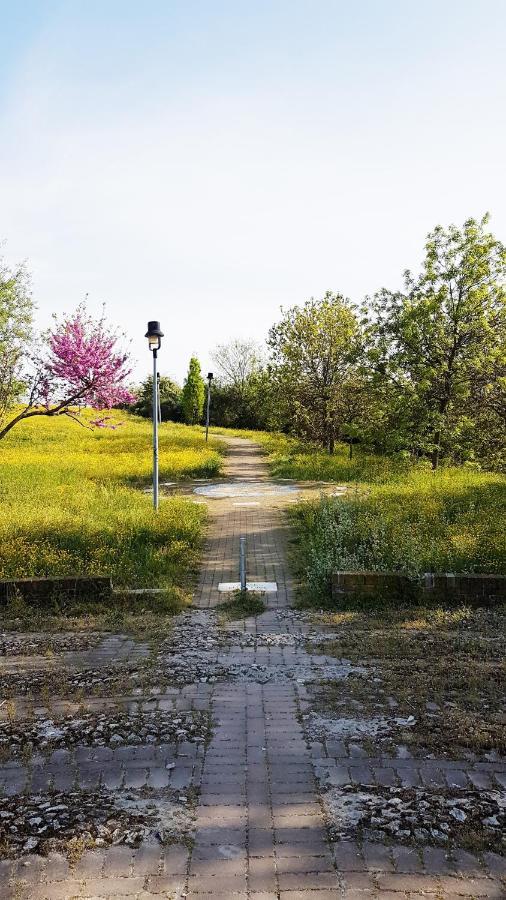 Casarava Sul Parco 3 Camere 2 Bagni Riccione Exteriér fotografie